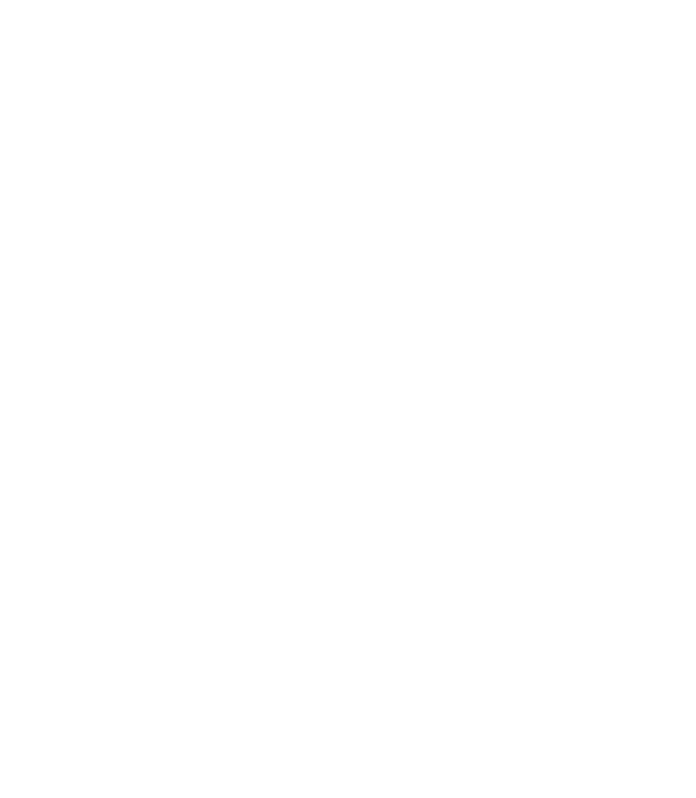 スピナーベイトのtiktokへ遷移